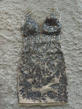 Silver Sequin Embroidered Nude Strapless Top